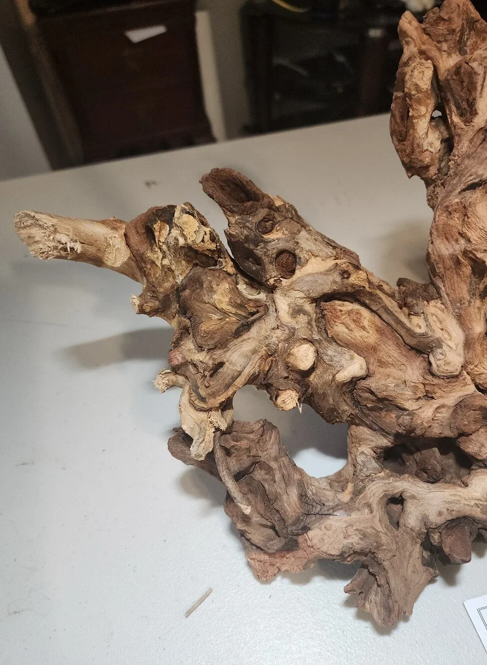 Majoywoo Natural Large Driftwood for Aquarium Decor Reptile Decor 10-15